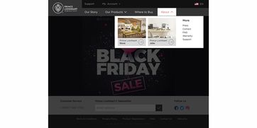 海外嬰幼兒用品網站的設計與代理服務